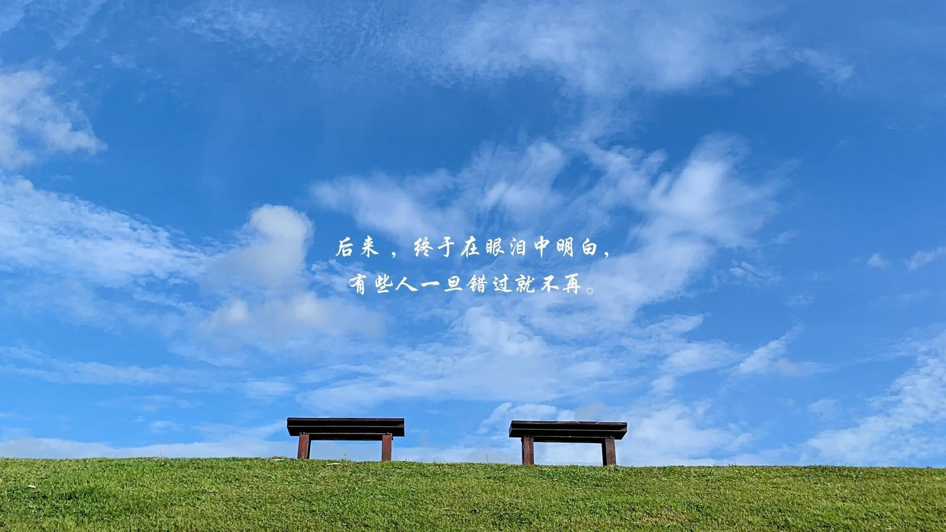 UFC中国女将再下一城，完成跻身世界前十目标，中国ufc女子选手名单